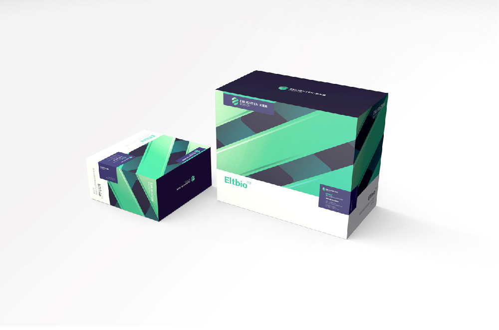 血液基因组DNA提取试剂盒（柱膜法）